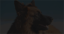 Desktop Screenshot of dogsontherun.com